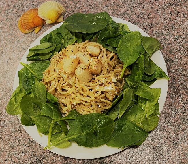 Scallops -- Over Easy.jpg